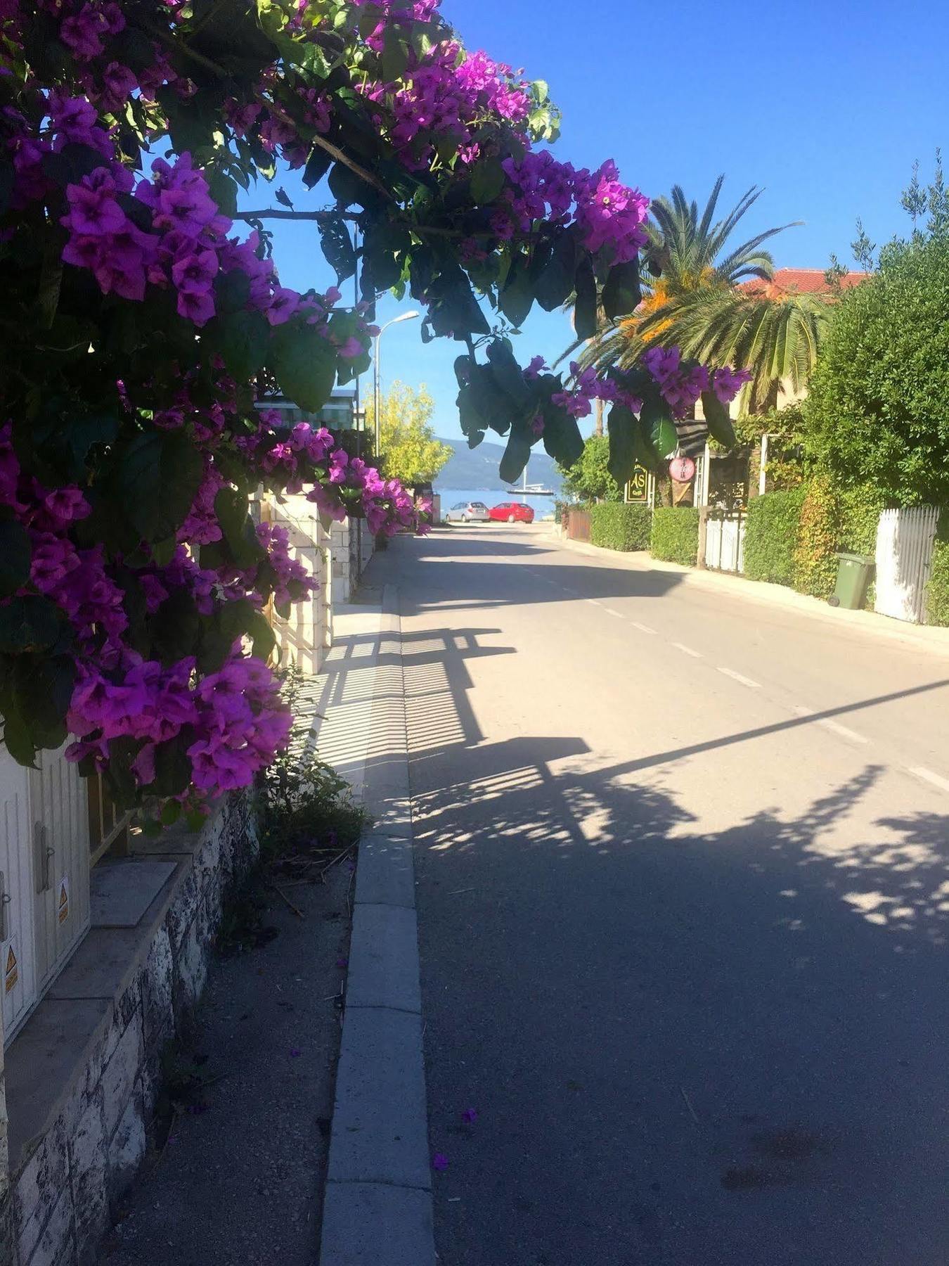 Boutique Hotel Villa Royal Tivat Zewnętrze zdjęcie